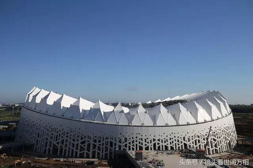 長(zhǎng)春也有 鳥(niǎo)巢 了