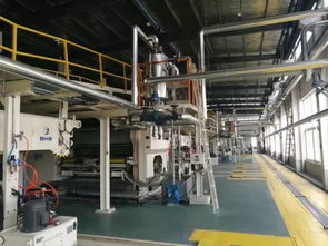 中央 環保欽差 一路關不停,為何獨獨只有這家紙箱廠不懼