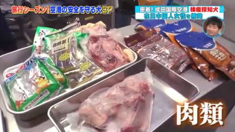 日本海關(guān)嚴查入境違禁品，肉制品及假名牌成重點目標(biāo)